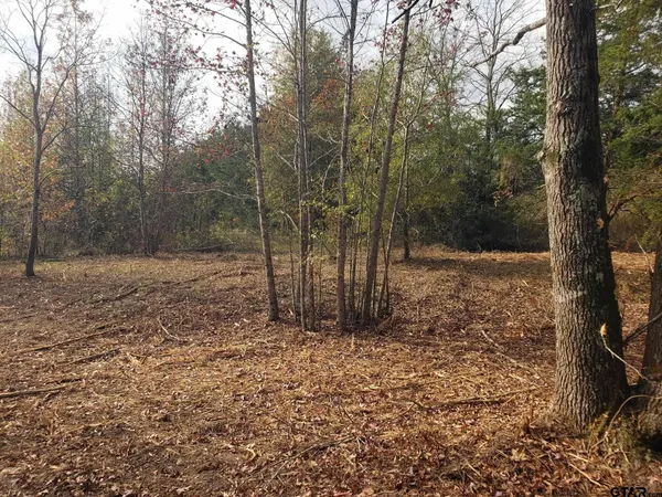 a view of a yard with trees