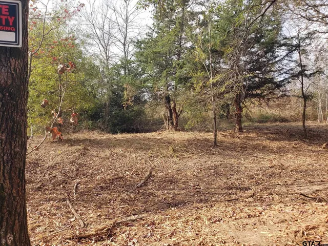 a view of outdoor space with trees