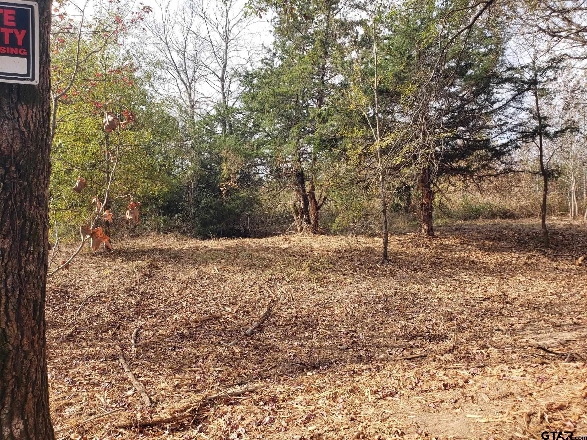 1552 10.097 Ac Long Branch Long Branch, TX 75669 - Photo 6 of 16 a view of outdoor space with trees