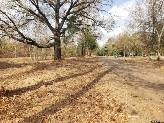 a view of dirt yard with a large tree