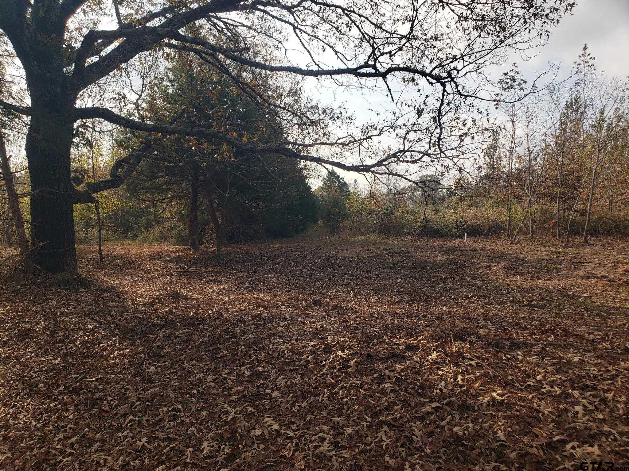 1552 10.097 Ac Long Branch Long Branch, TX 75669 - Photo 8 of 16 a view of outdoor space and yard