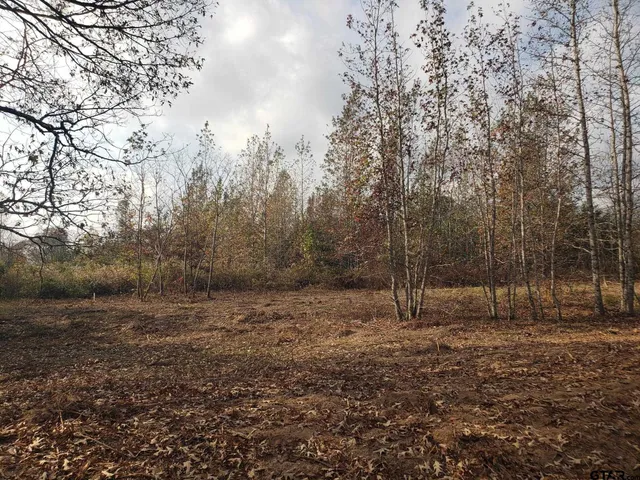 a view of outdoor space with trees