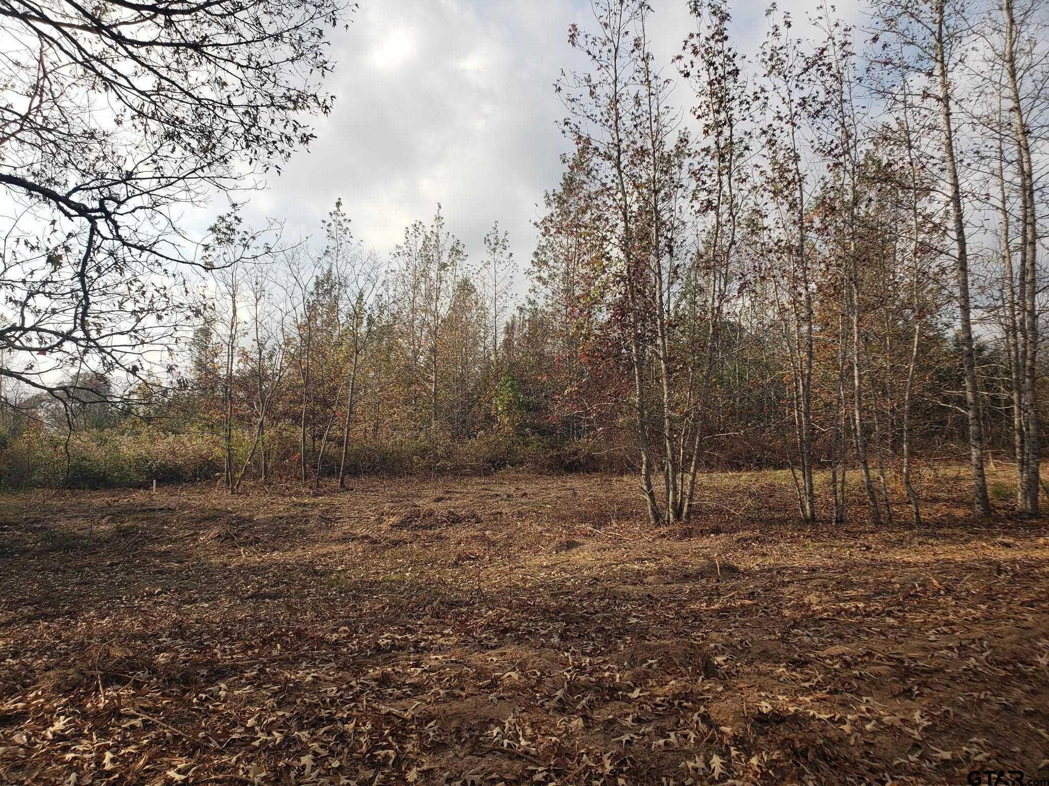 1552 10.097 Ac Long Branch Long Branch, TX 75669 - Photo 9 of 16 a view of outdoor space with trees