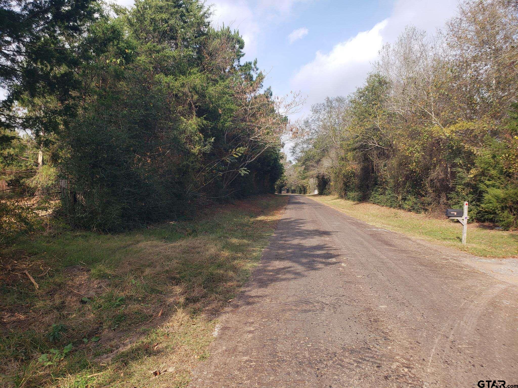 1552 10.097 Ac Long Branch Long Branch, TX 75669 - Photo 10 of 16 a view of a yard with large trees
