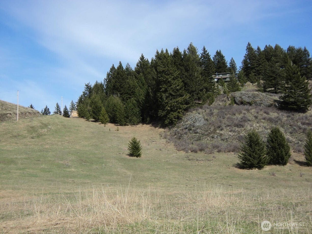 302 Davies Road Oroville, WA 98844 - Photo 20 of 37