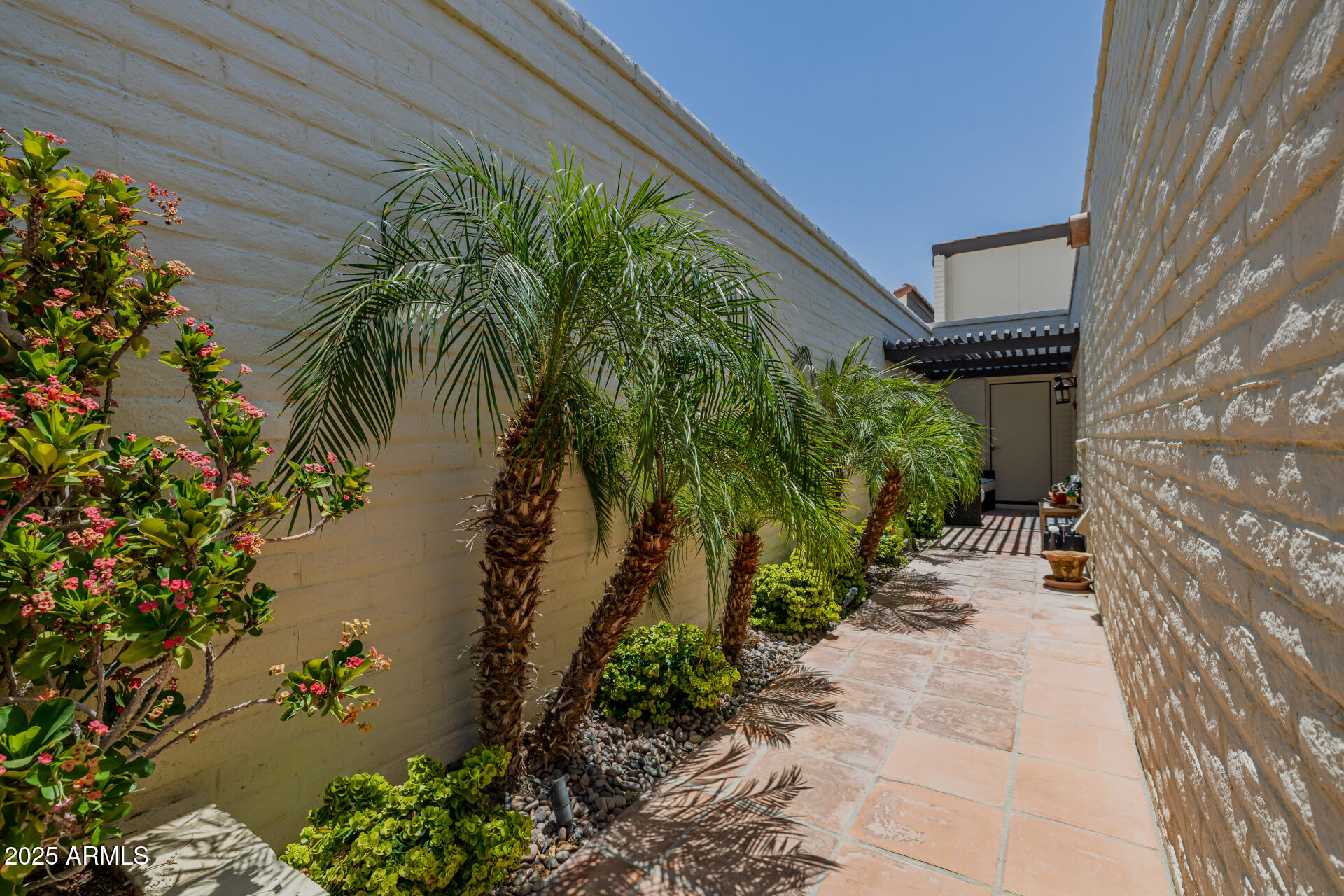 7322 East McLellan Boulevard Scottsdale, AZ 85250 - Photo 52 of 64 a couple of flower plants in front of door
