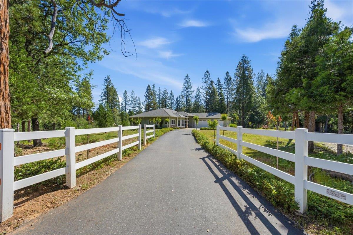 15890 Orchard Springs Road Grass Valley, CA 95945 - Photo 5 of 50