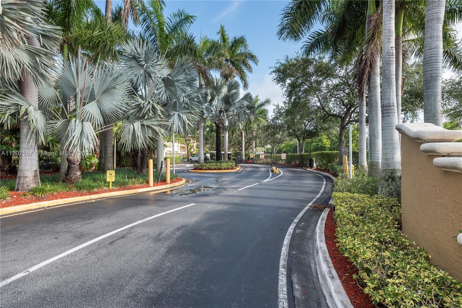 771 North Pine Island Road, Unit 203 Plantation, FL 33324 - Photo 20 of 20 a view of a street with palm trees