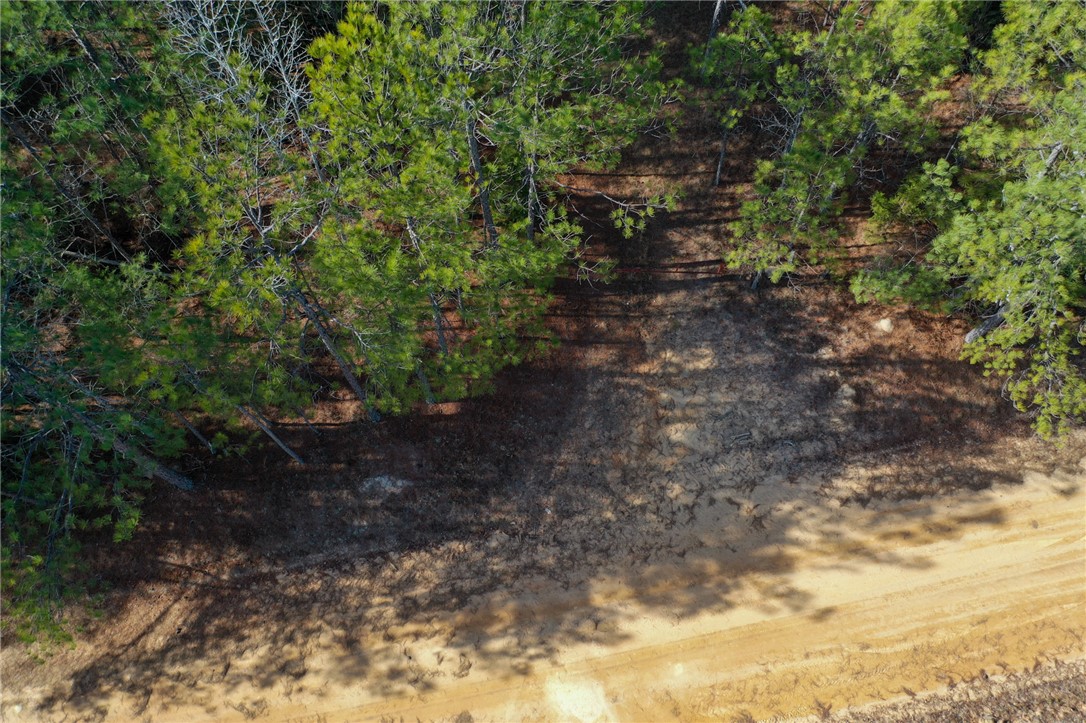 25 Lewis Lane McCormick, SC 29835 - Photo 11 of 20