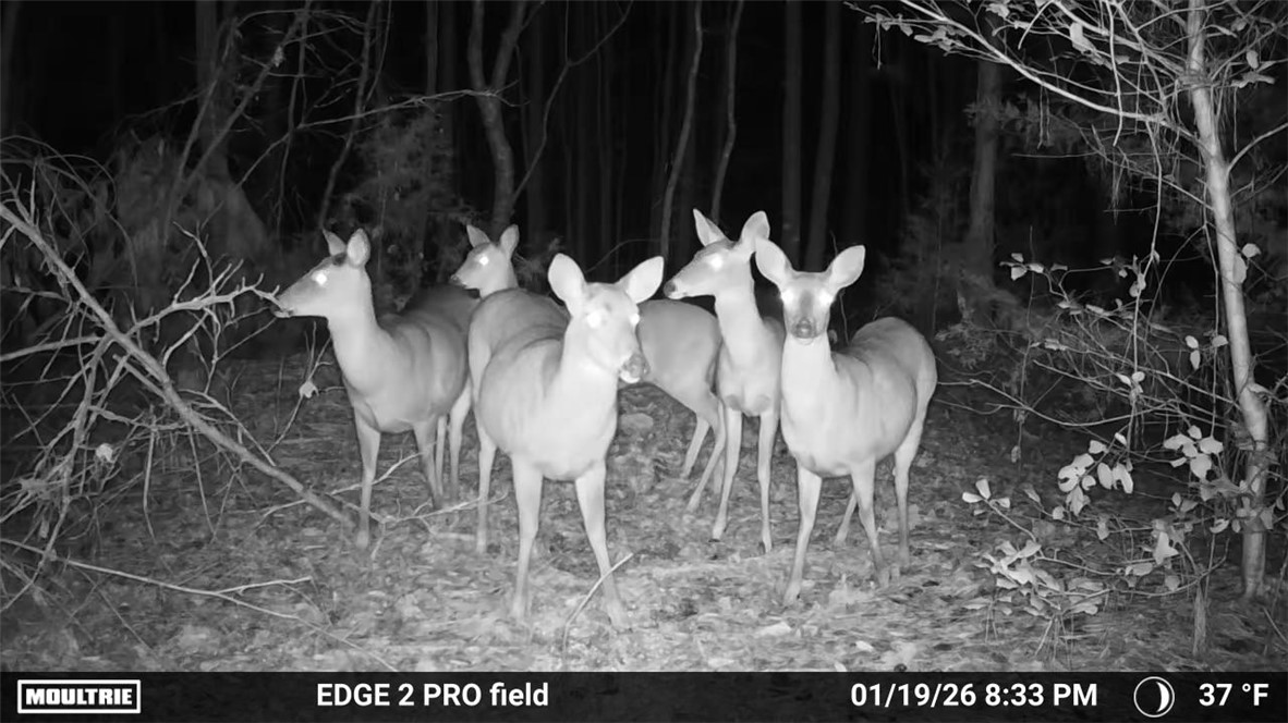 25 Lewis Lane McCormick, SC 29835 - Photo 20 of 20