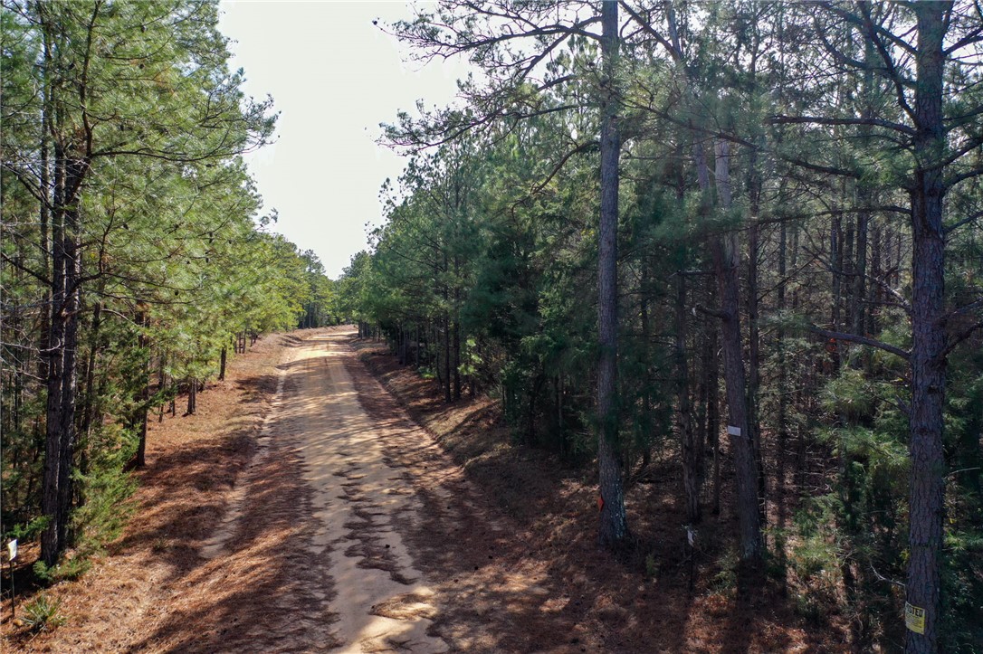 25 Lewis Lane McCormick, SC 29835 - Photo 2 of 20