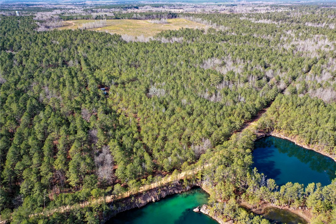 25 Lewis Lane McCormick, SC 29835 - Photo 3 of 20