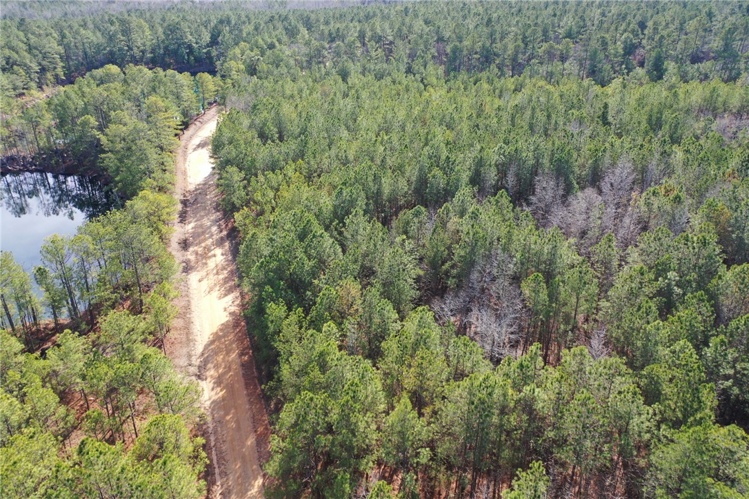 25 Lewis Lane McCormick, SC 29835 - Photo 4 of 20