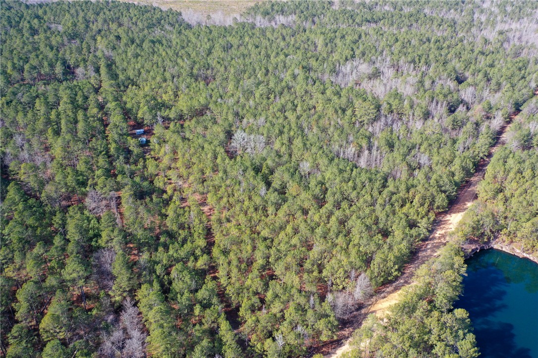 25 Lewis Lane McCormick, SC 29835 - Photo 6 of 20