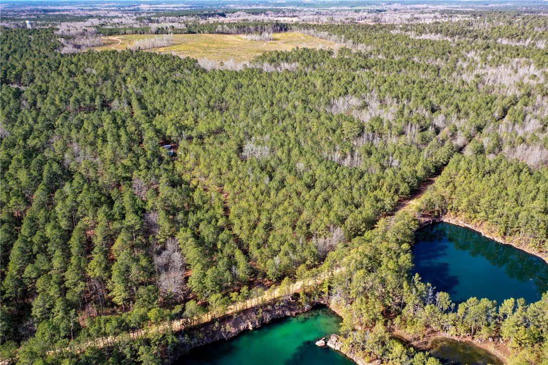 25 Lewis Lane McCormick, SC 29835 - Photo 7 of 20