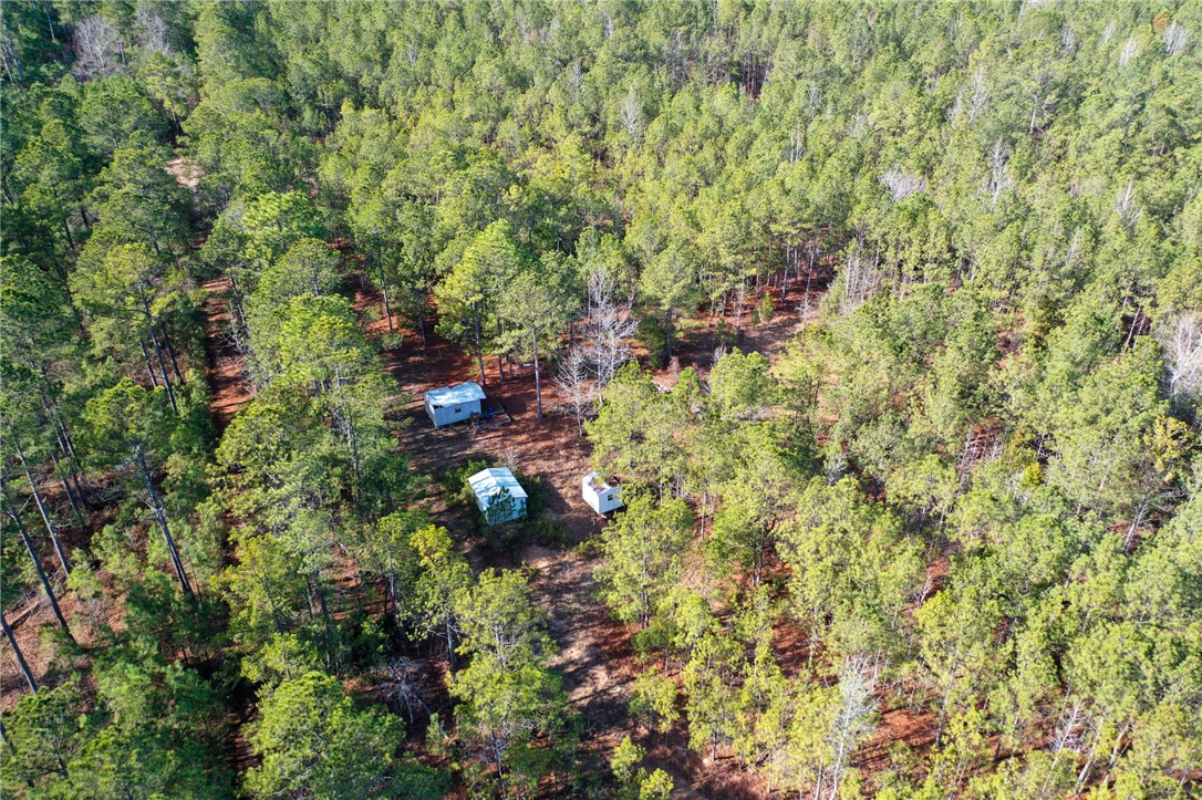 25 Lewis Lane McCormick, SC 29835 - Photo 8 of 20