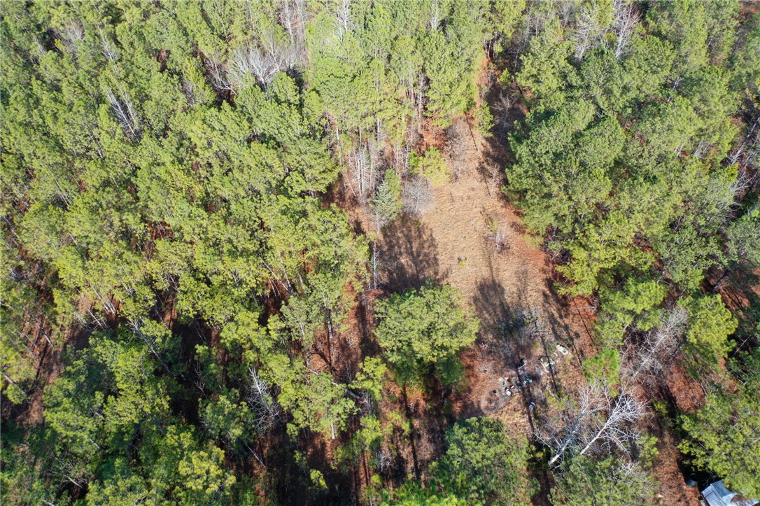 25 Lewis Lane McCormick, SC 29835 - Photo 10 of 20