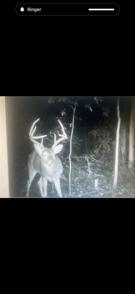 0 McKinley Guffey Road Albany, KY 42602 - Photo 16 of 23 Gallery Image 16