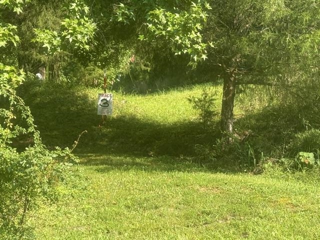 3 Carroll Hollow Road Waynesboro, TN 38485 - Photo 18 of 25 Gallery Image 18