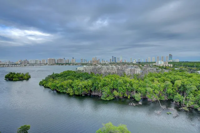 a view of a lake with a city