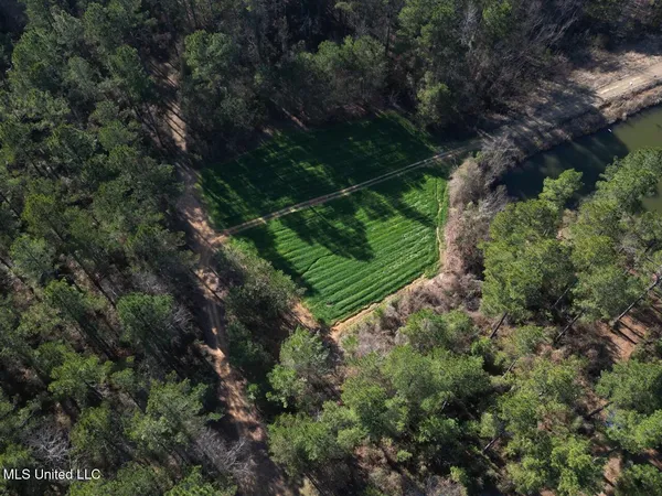 $299,000 | 2015 Forest Road, Hazlehurst, MS 39083