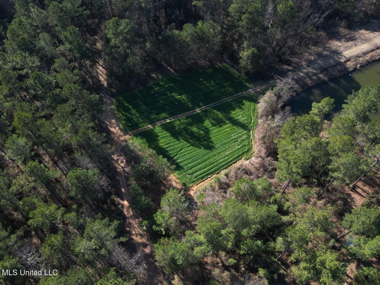 2015 Forest Road Hazlehurst, MS 39083 - Photo 1 of 49 DJI_0079 2 Large