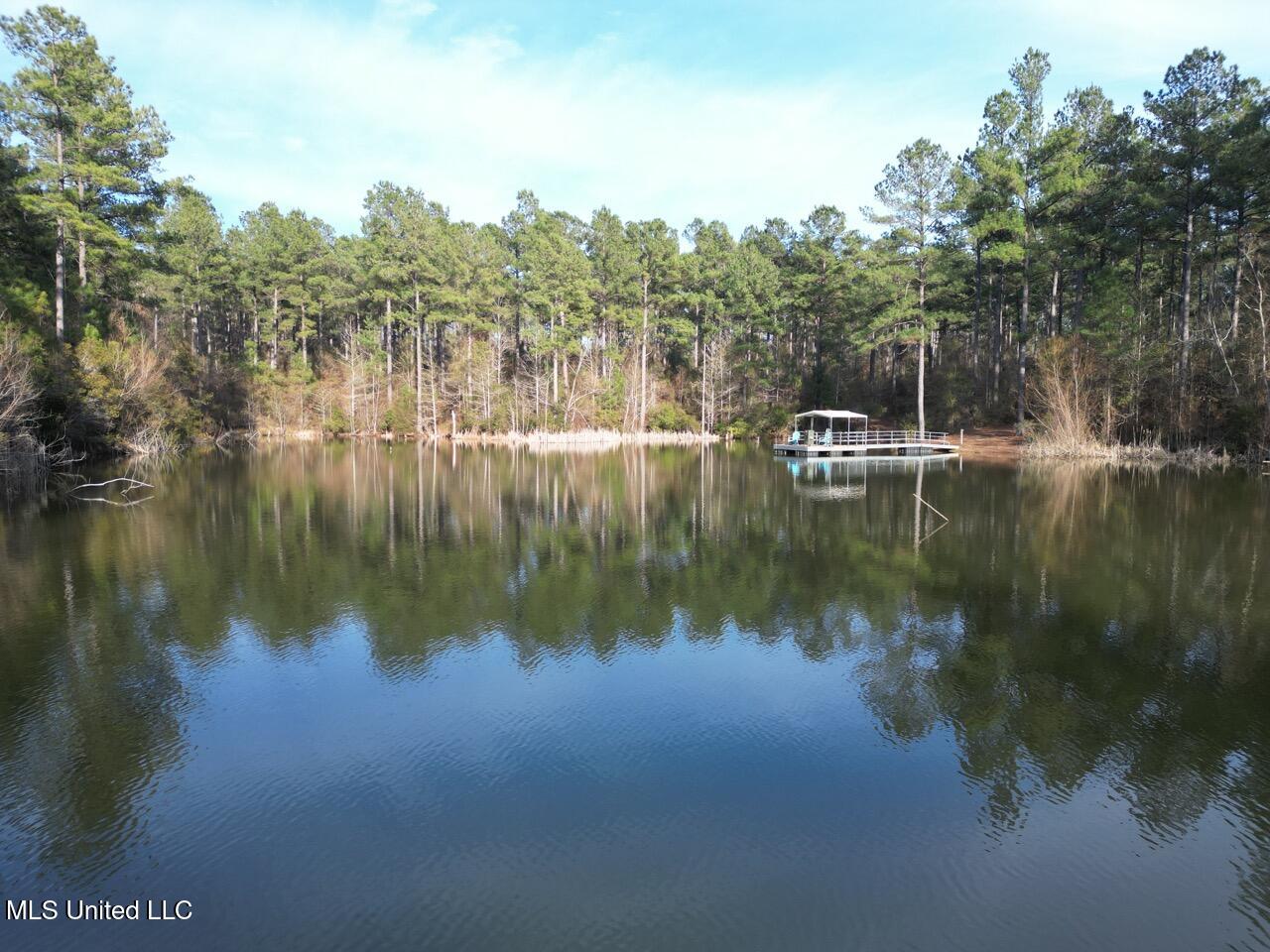 2015 Forest Road Hazlehurst, MS 39083 - Photo 11 of 49 DJI_0108 Large 2