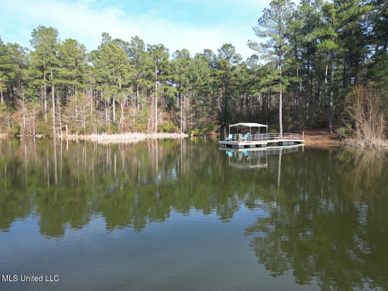 2015 Forest Road Hazlehurst, MS 39083 - Photo 12 of 49 DJI_0109 Large 2