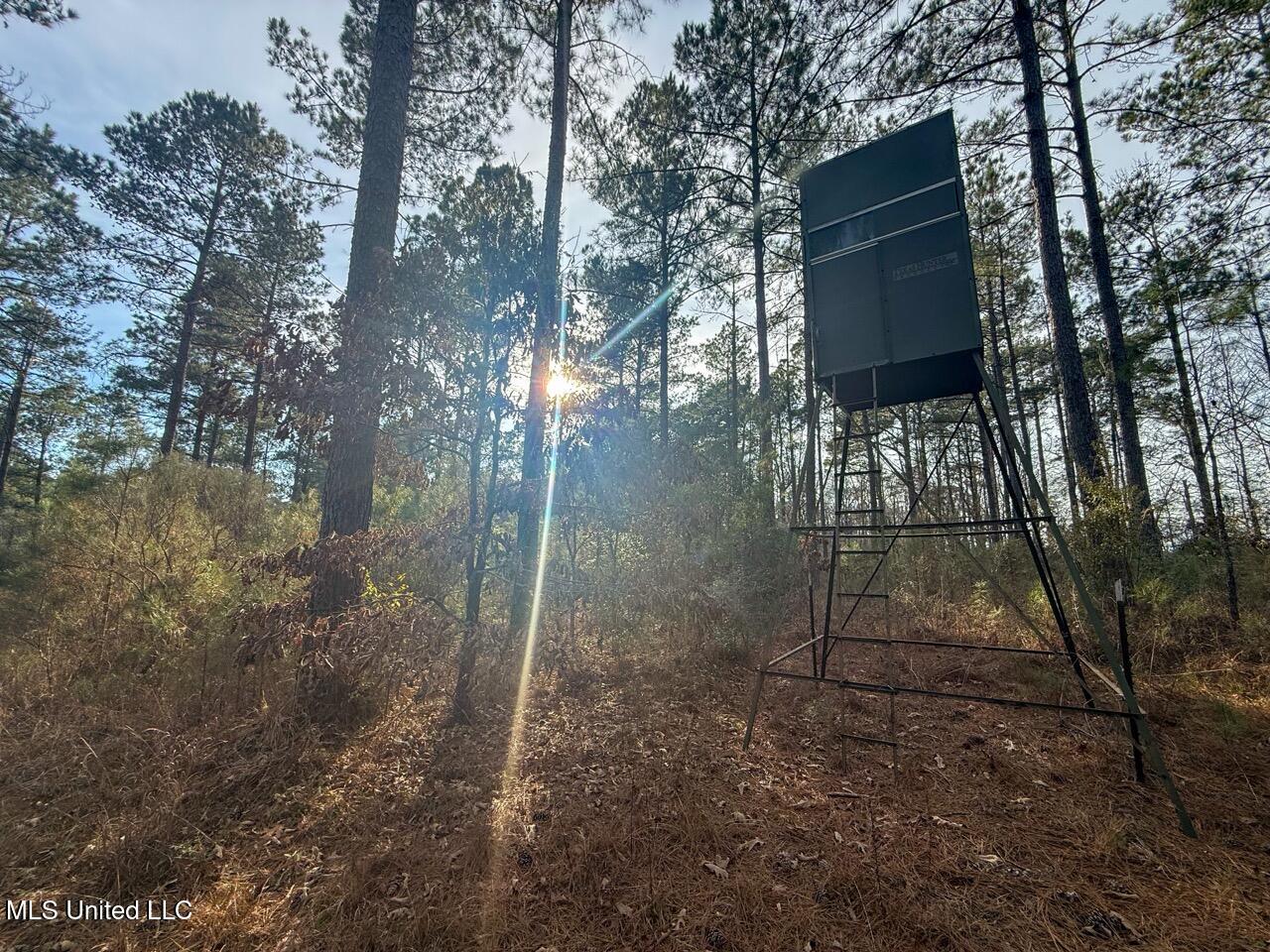 2015 Forest Road Hazlehurst, MS 39083 - Photo 13 of 49 IMG_0568 Large