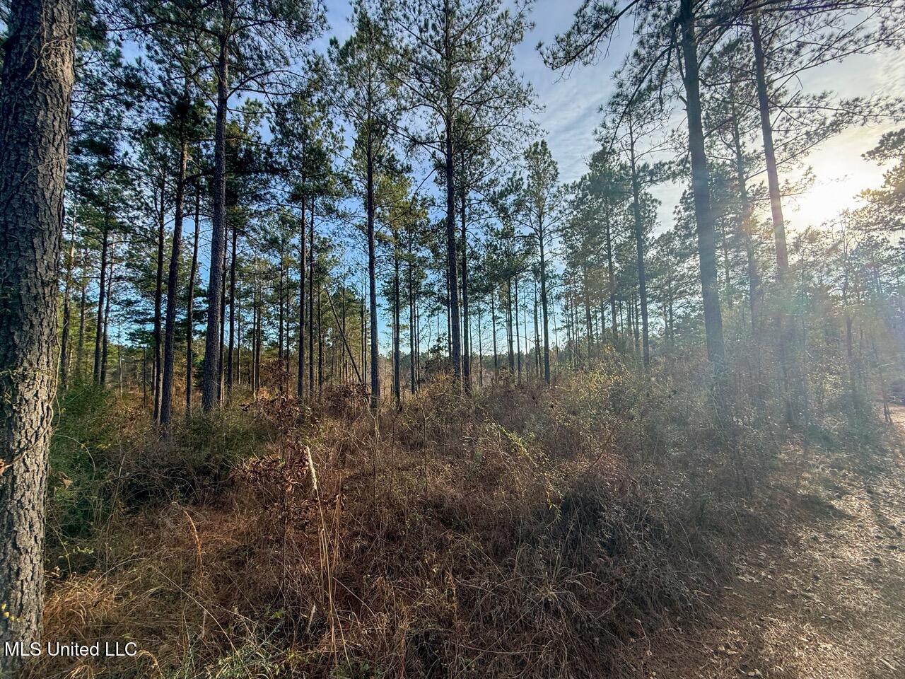 2015 Forest Road Hazlehurst, MS 39083 - Photo 14 of 49 IMG_0572 Large