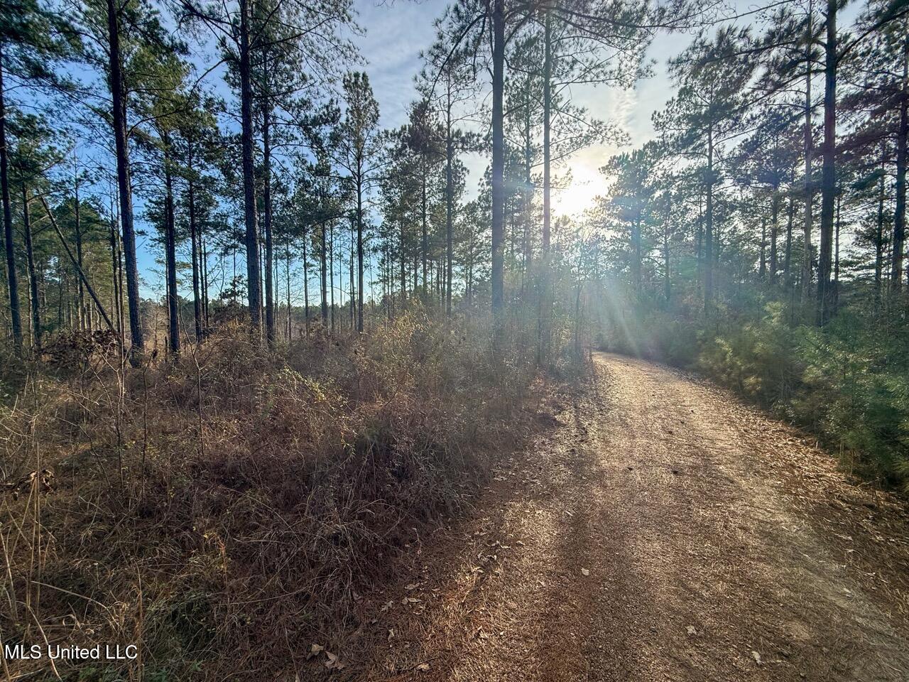 2015 Forest Road Hazlehurst, MS 39083 - Photo 15 of 49 IMG_0573 Large