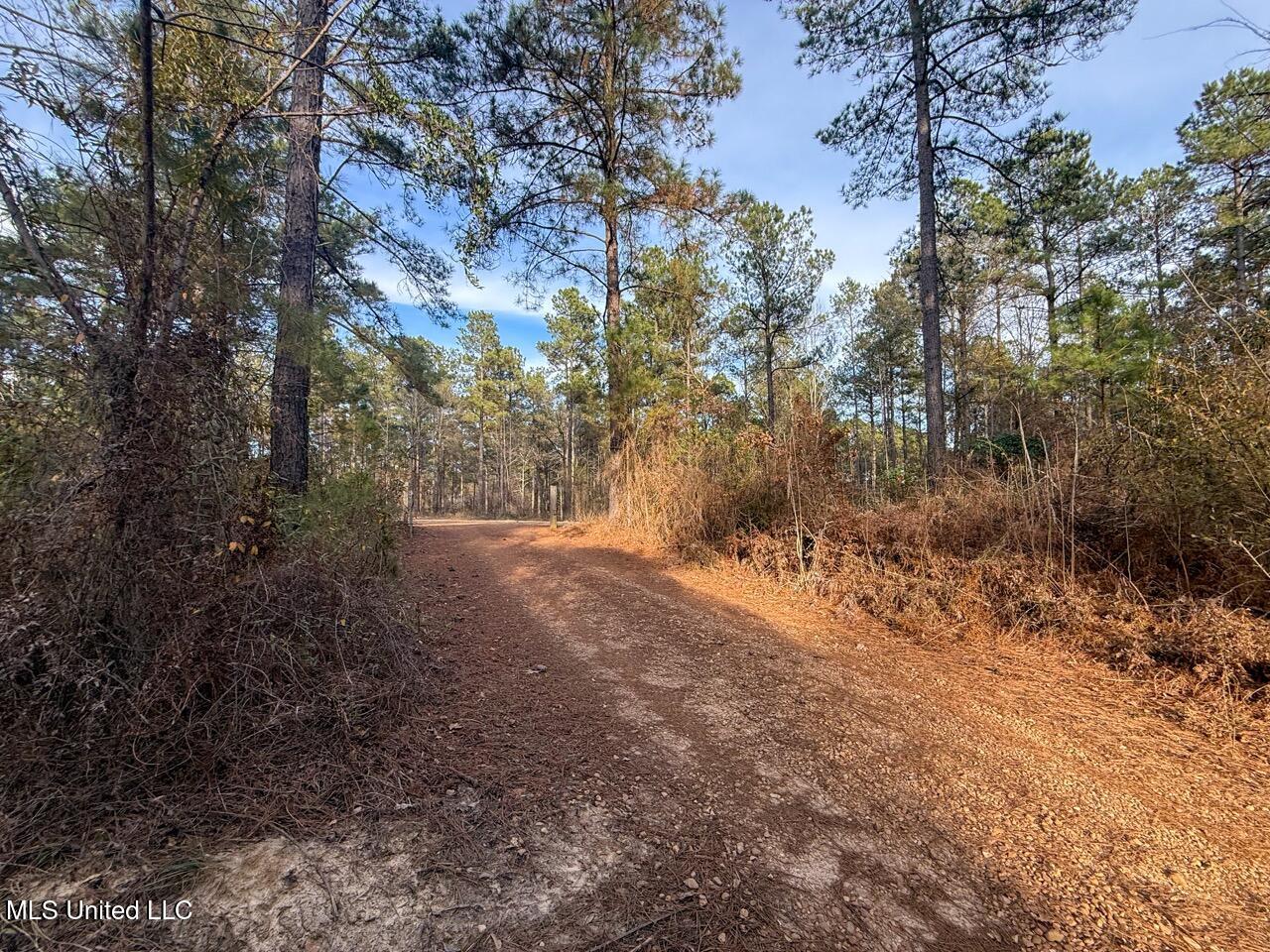 2015 Forest Road Hazlehurst, MS 39083 - Photo 16 of 49 IMG_0574 Large