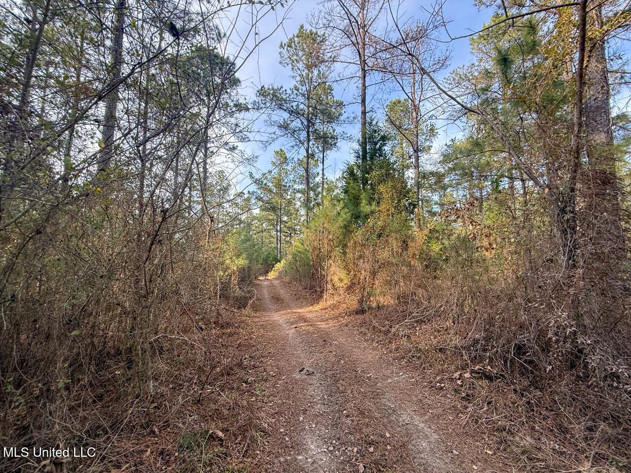 2015 Forest Road Hazlehurst, MS 39083 - Photo 17 of 49 IMG_0575 Large