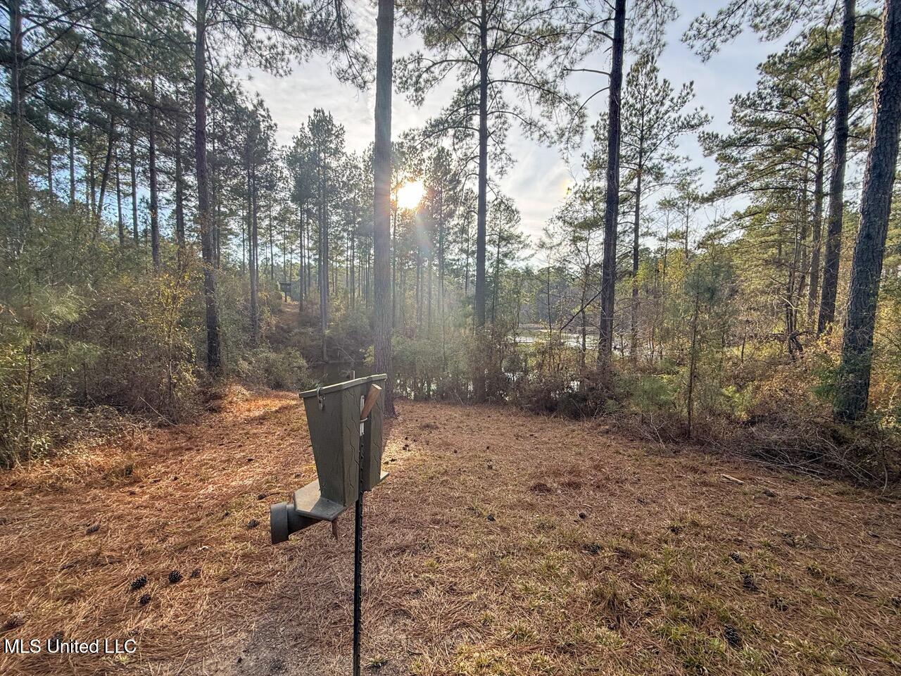 2015 Forest Road Hazlehurst, MS 39083 - Photo 18 of 49 IMG_0577 Large