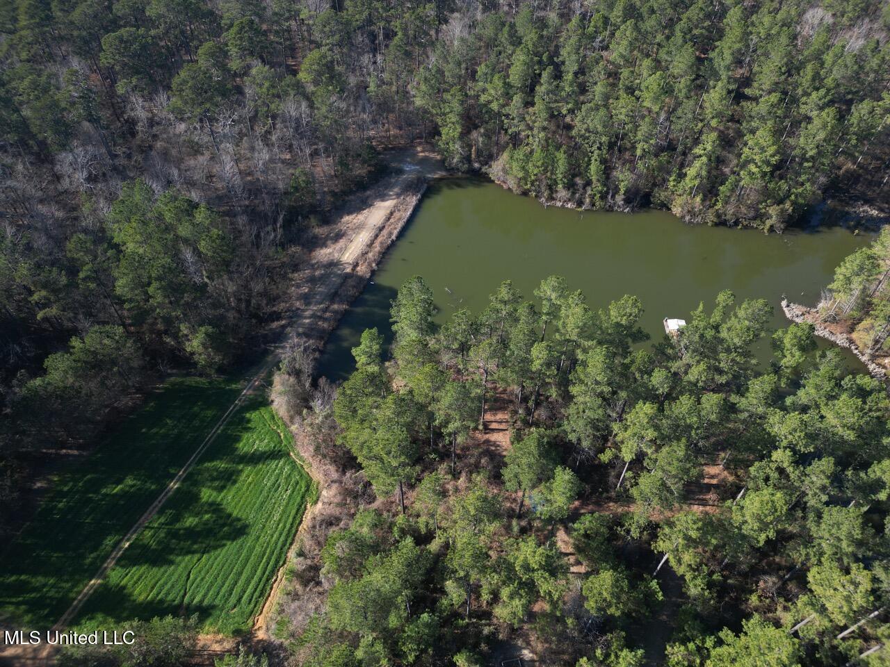 2015 Forest Road Hazlehurst, MS 39083 - Photo 2 of 49 DJI_0080 Large 2