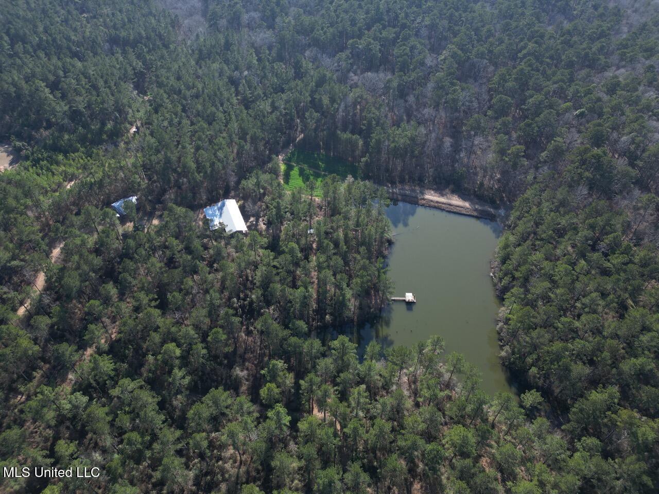 2015 Forest Road Hazlehurst, MS 39083 - Photo 4 of 49 DJI_0084 Large 2