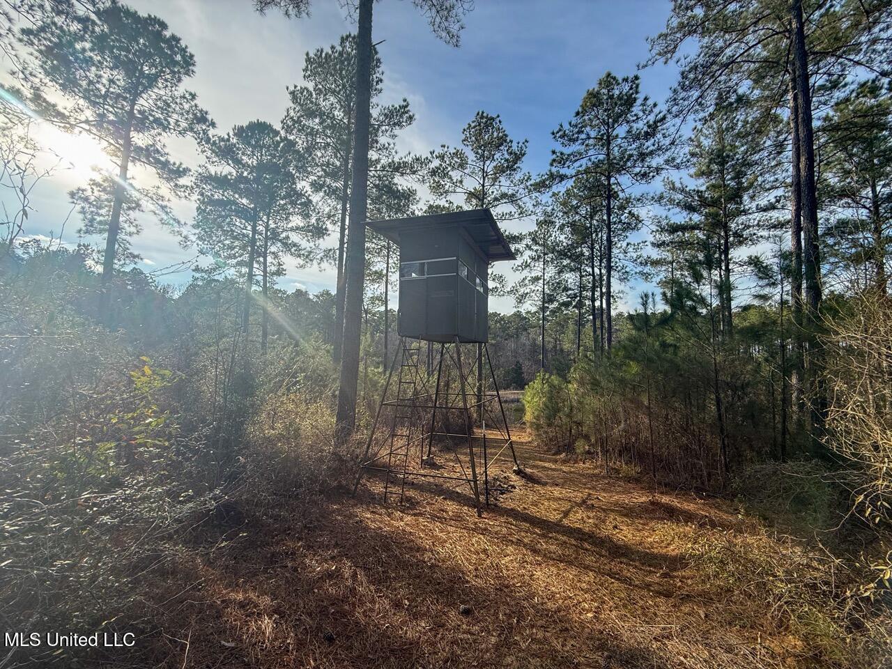 2015 Forest Road Hazlehurst, MS 39083 - Photo 42 of 49 IMG_2931 2 Large