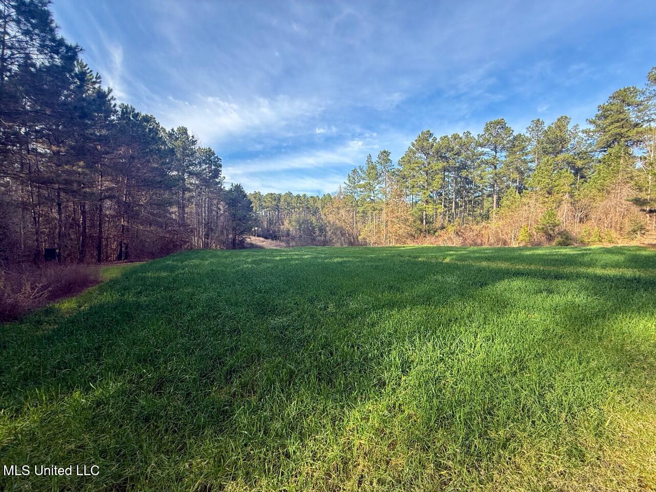 2015 Forest Road Hazlehurst, MS 39083 - Photo 43 of 49 IMG_2932 2 Large