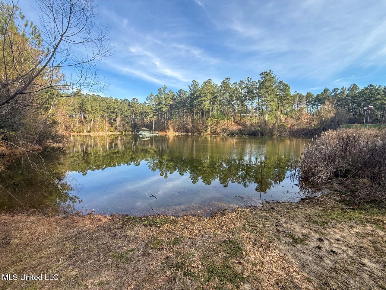 2015 Forest Road Hazlehurst, MS 39083 - Photo 44 of 49 IMG_2933 2 Large