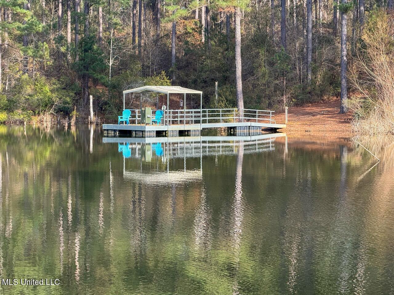 2015 Forest Road Hazlehurst, MS 39083 - Photo 45 of 49 IMG_2934 2 Large