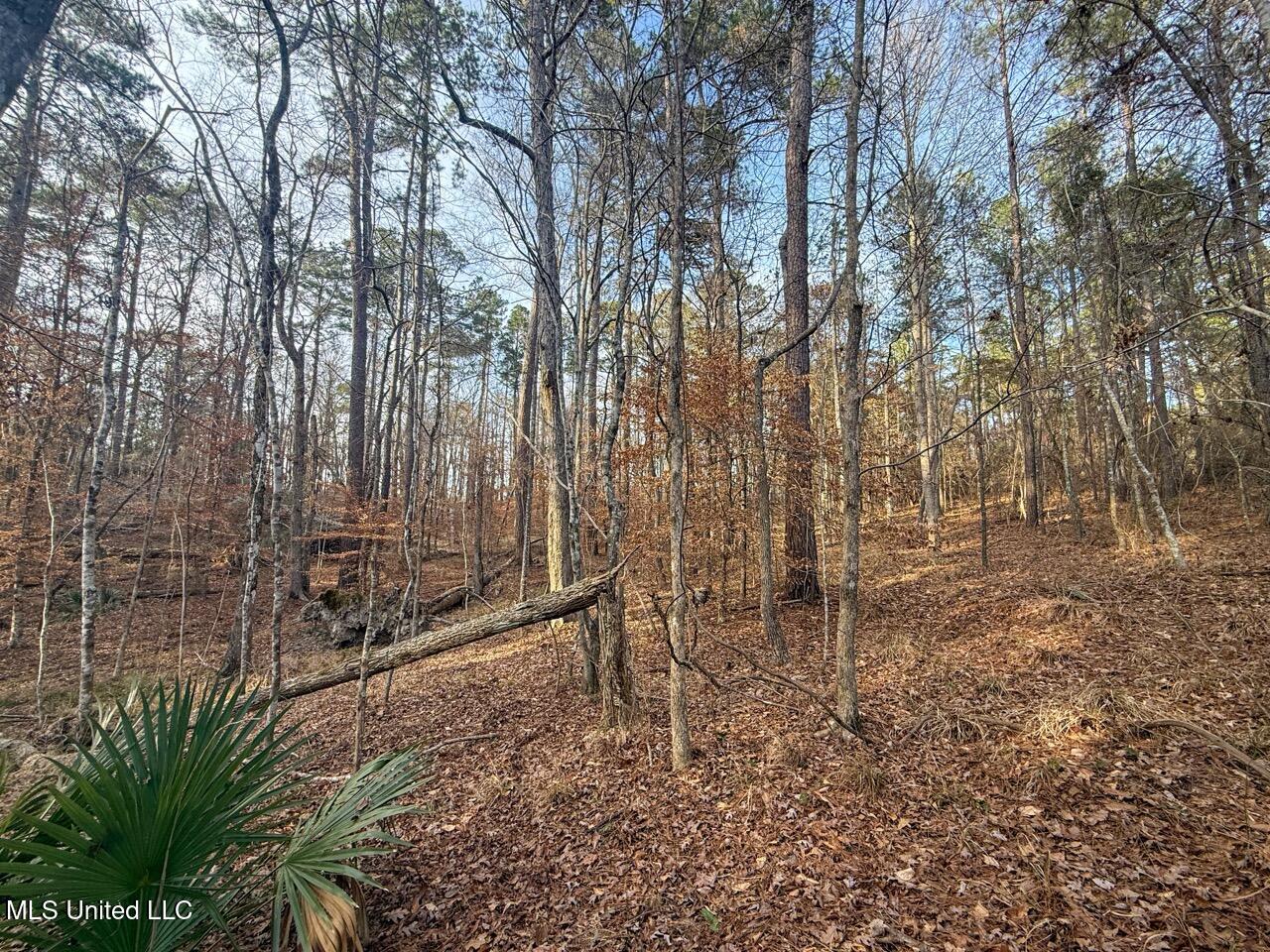 2015 Forest Road Hazlehurst, MS 39083 - Photo 47 of 49 IMG_2936 Large