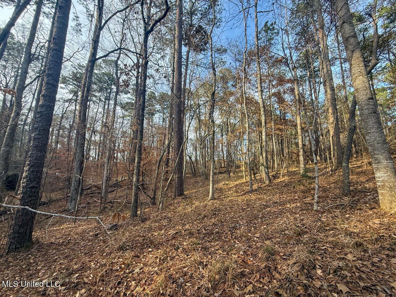 2015 Forest Road Hazlehurst, MS 39083 - Photo 48 of 49 IMG_2937 Large