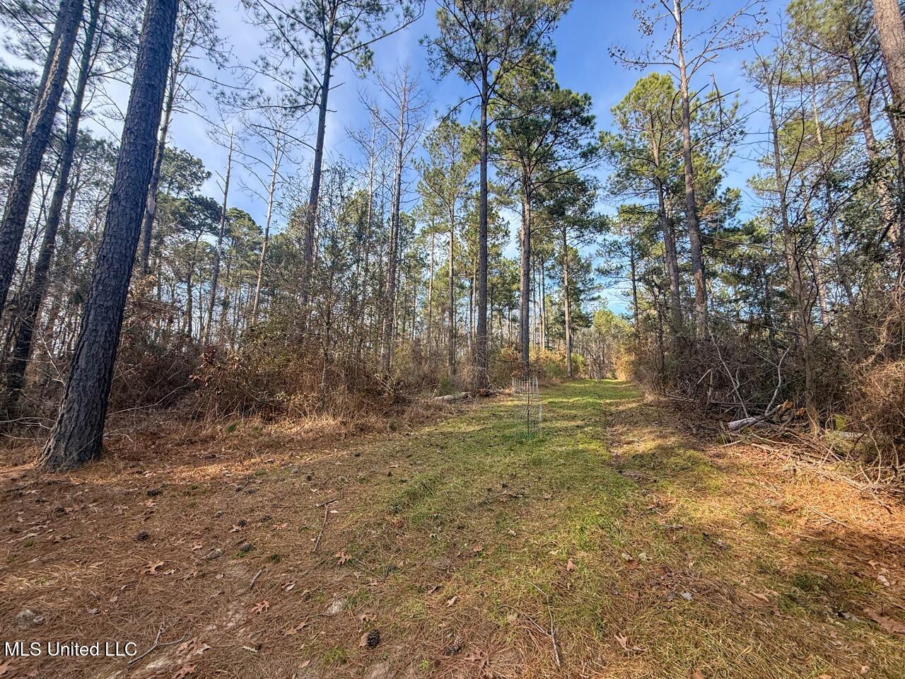 2015 Forest Road Hazlehurst, MS 39083 - Photo 49 of 49 IMG_2938 Large