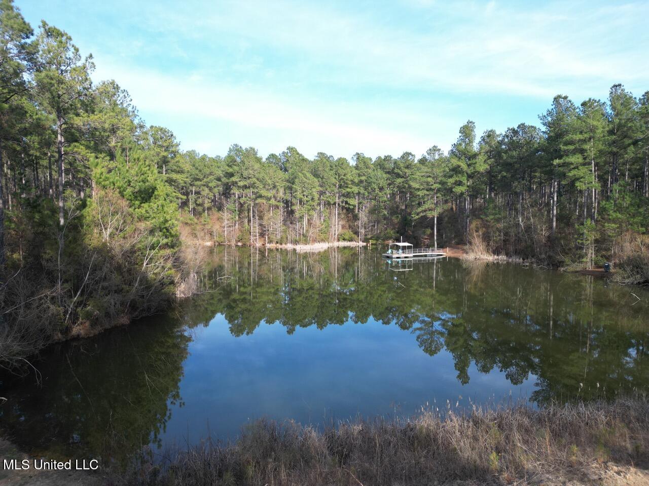 2015 Forest Road Hazlehurst, MS 39083 - Photo 7 of 49 DJI_0099 Large 2