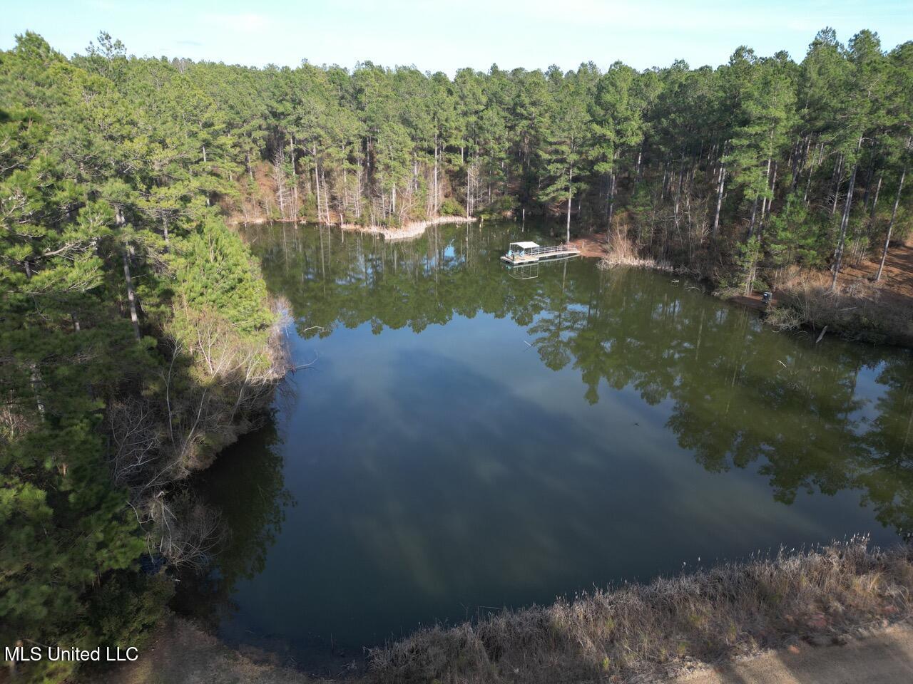 2015 Forest Road Hazlehurst, MS 39083 - Photo 8 of 49 DJI_0100 Large 2