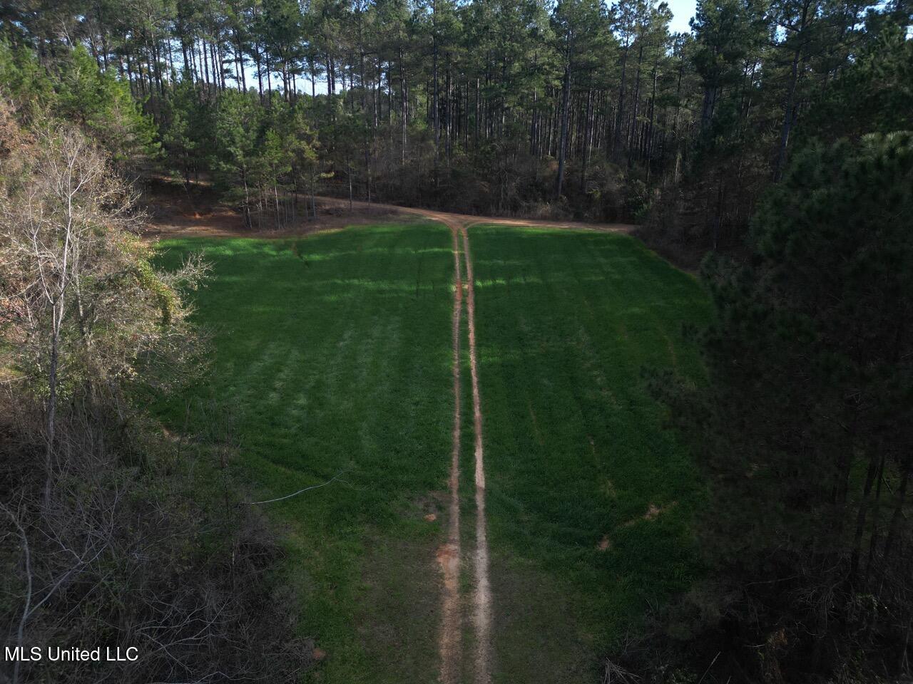 2015 Forest Road Hazlehurst, MS 39083 - Photo 10 of 49 DJI_0104 Large 2