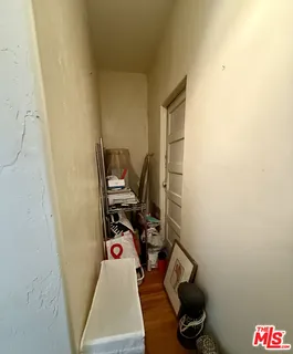 a view of a plant with a tree