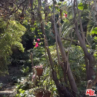 a view of outdoor space