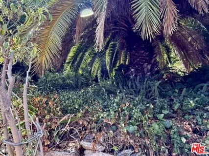 a view of street along with trees