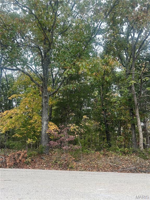 0 Ridgecrest Drive Hillsboro, MO 63050 - Photo 1 of 1